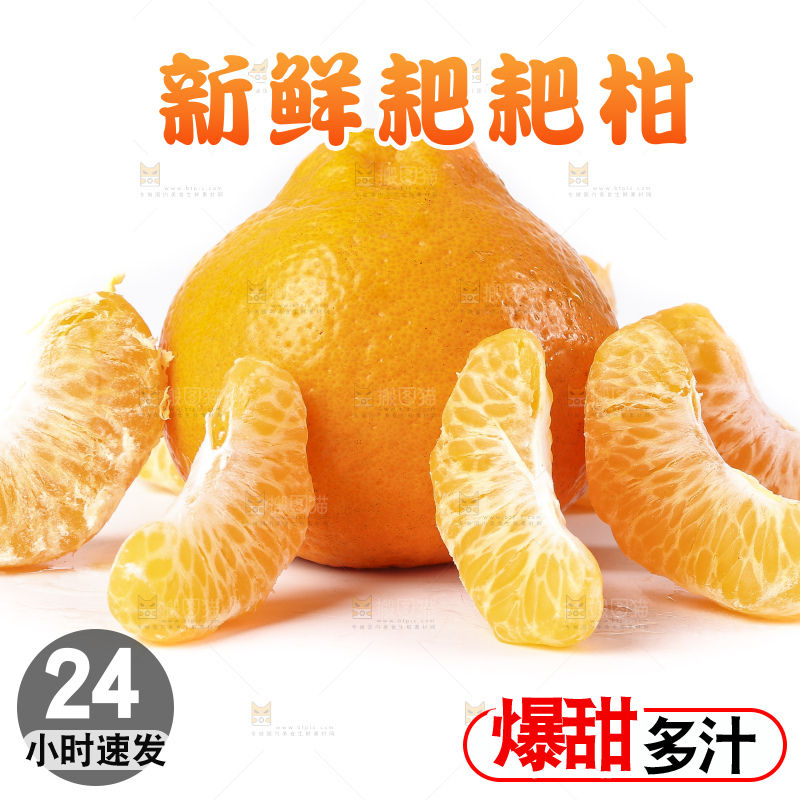 白底上的春见耙耙柑