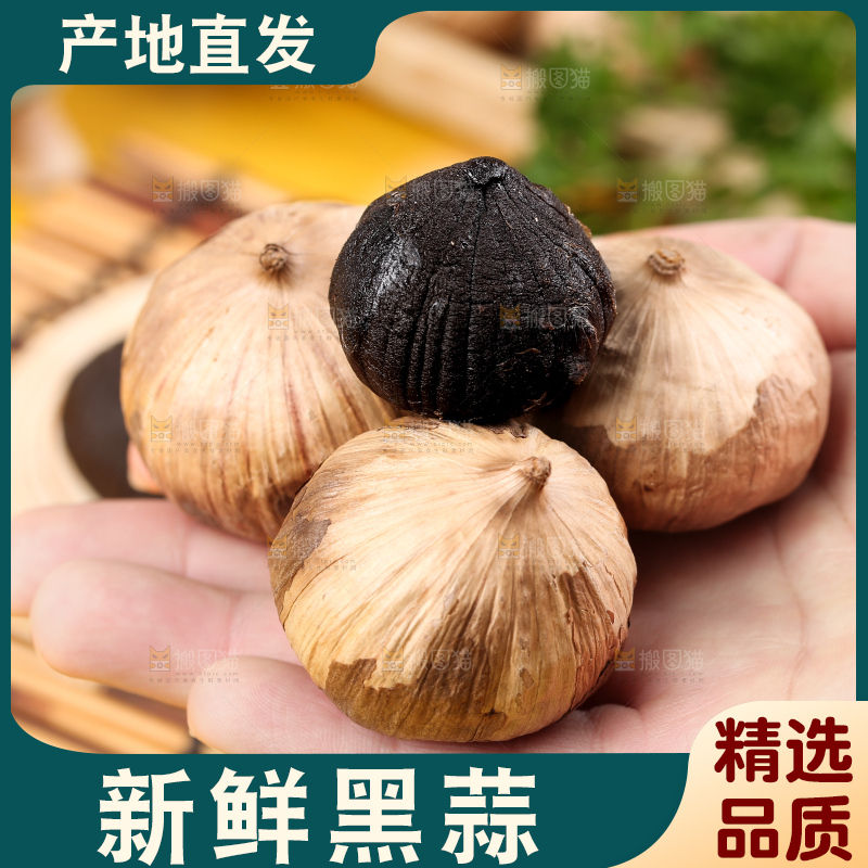 手里拿着黑蒜头