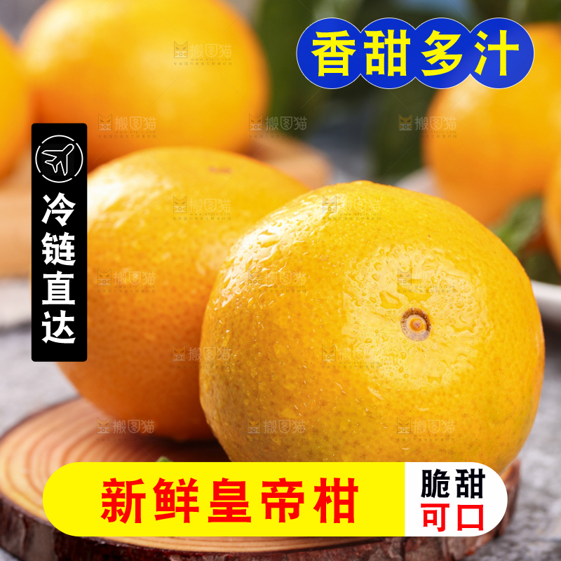 木板上的皇帝贡柑