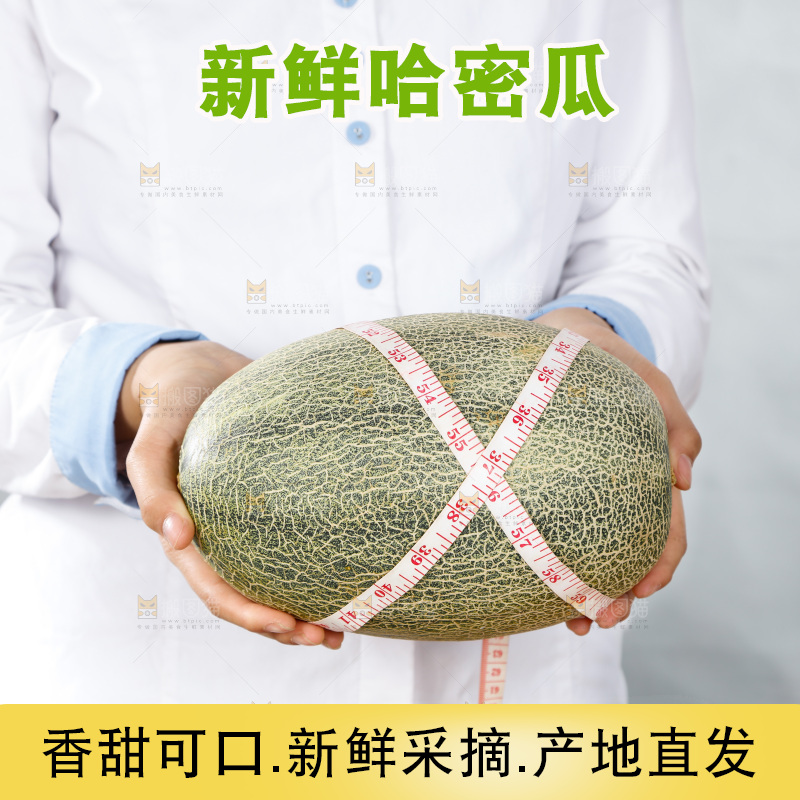 手里正在测量哈蜜瓜