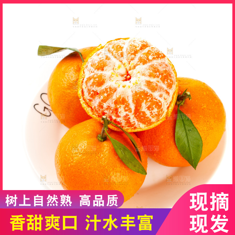 白底上摆放着蜜橘
