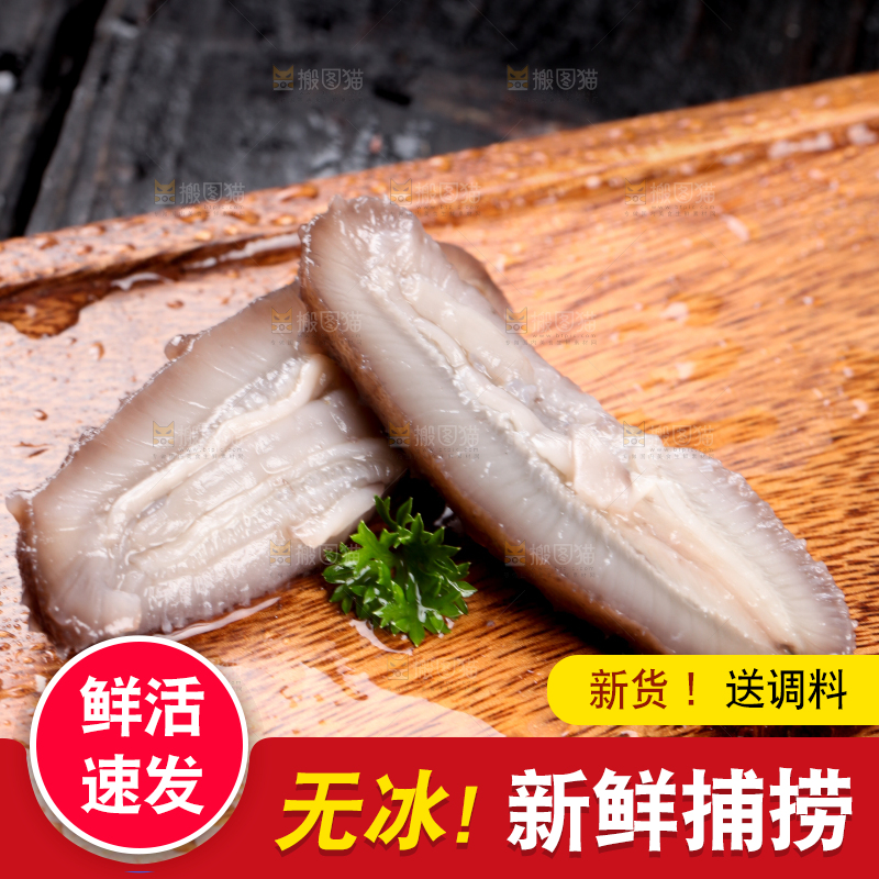 木底上的海参