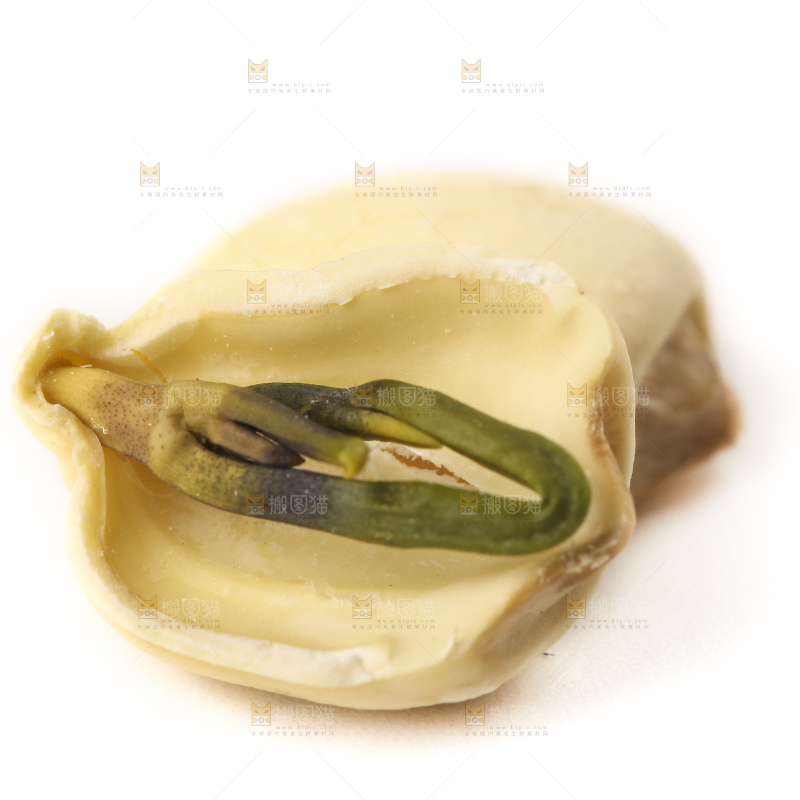 白底上的九鲤湖白莲子