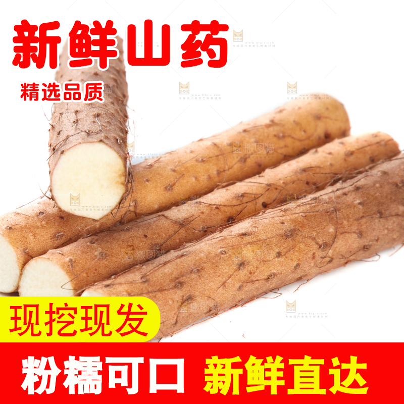 白底上摆放着山药