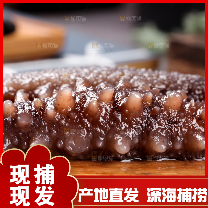 木底上的淡干海参