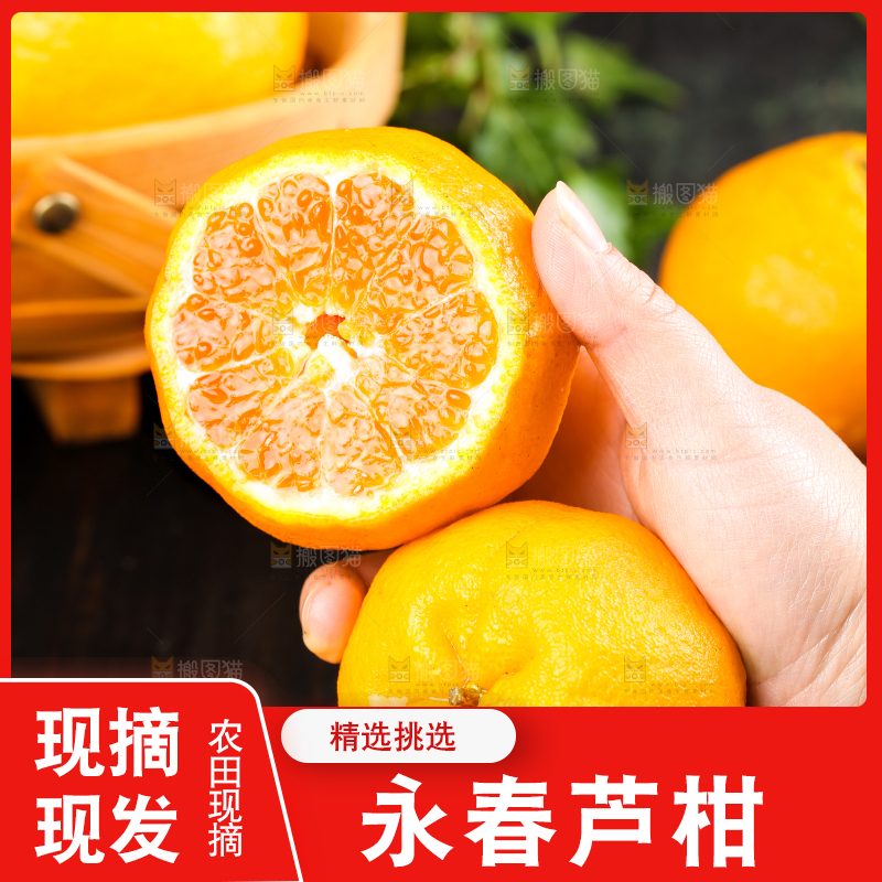 手里拿着新鲜芦柑