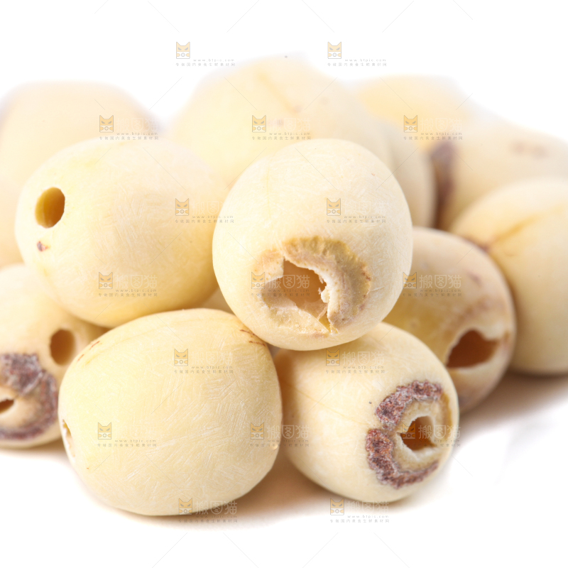 白底上的白莲子