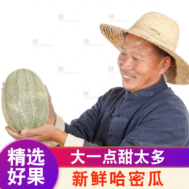 农民手里拿着哈蜜瓜
