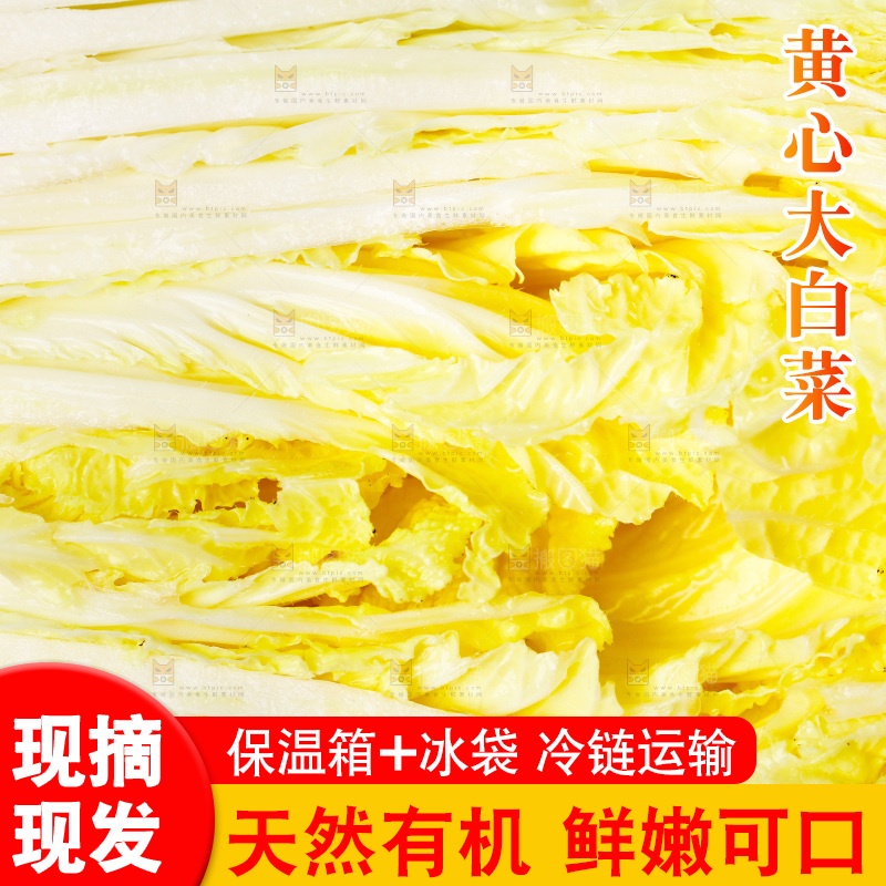 切开的黄心大白菜