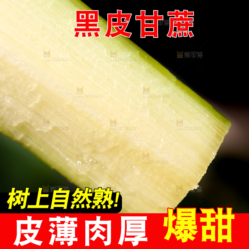 深底上切开的陶山甘蔗
