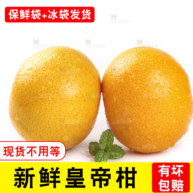 白底上的新鲜皇帝柑