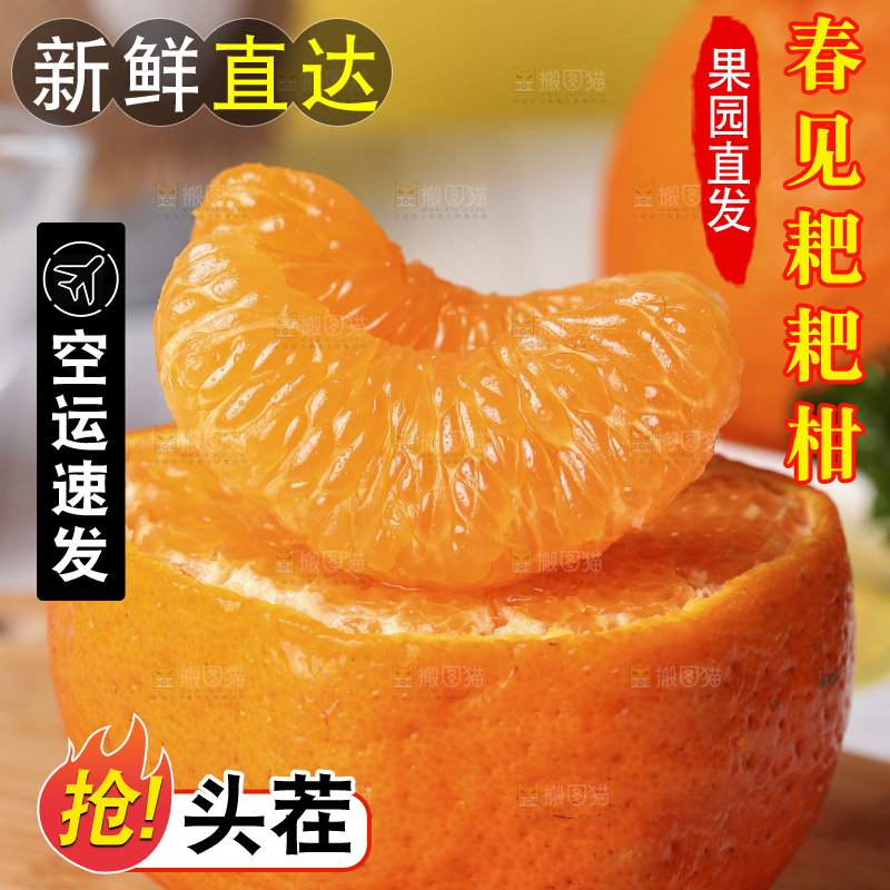 木板上放着春见耙耙柑