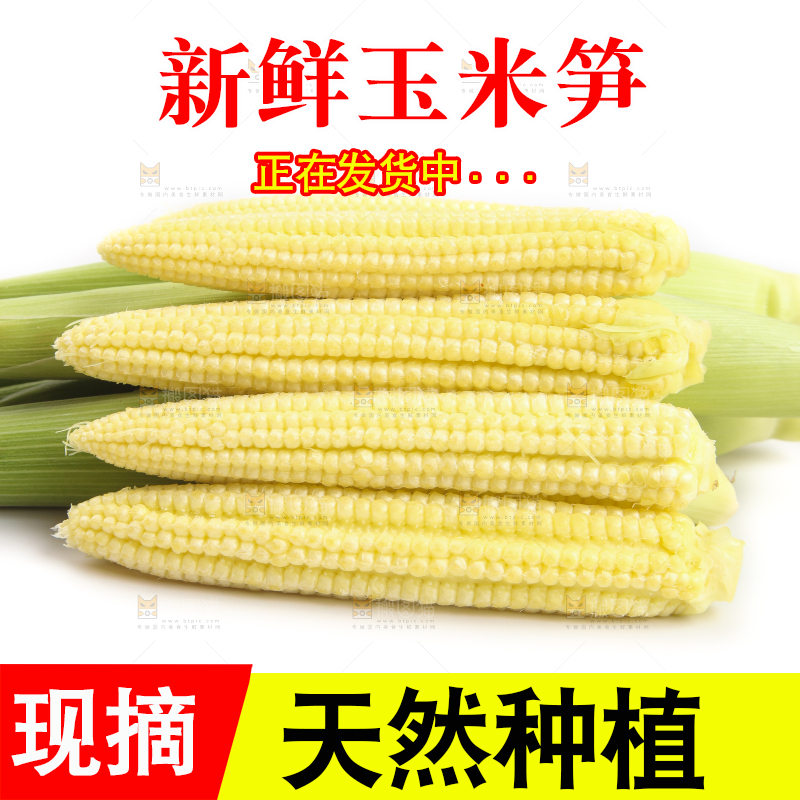白底上的珍珠笋
