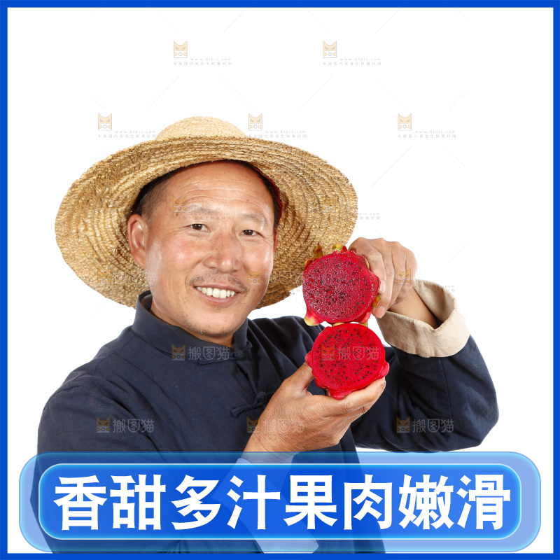 农民手里拿着红心火龙果