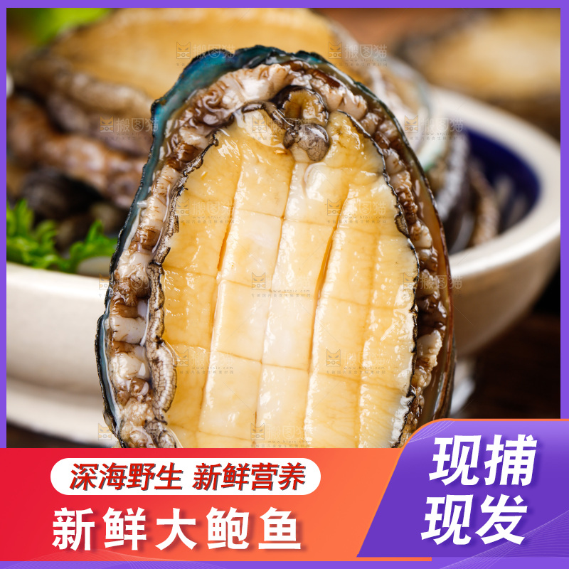 木底上的鲍鱼