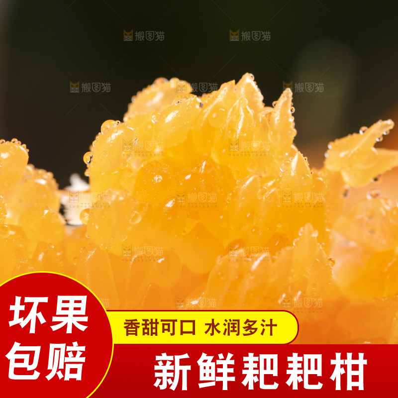 深底上放着四川春见