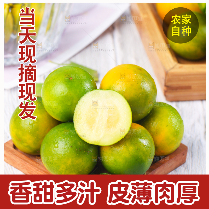 木底上摆放着金橘