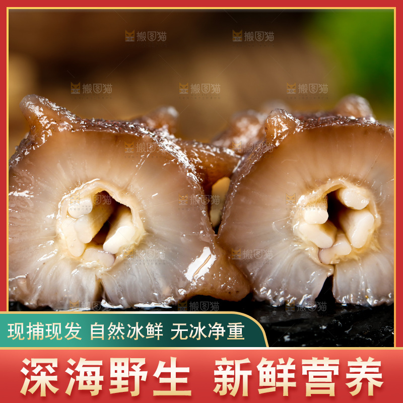 黑石板上的海参