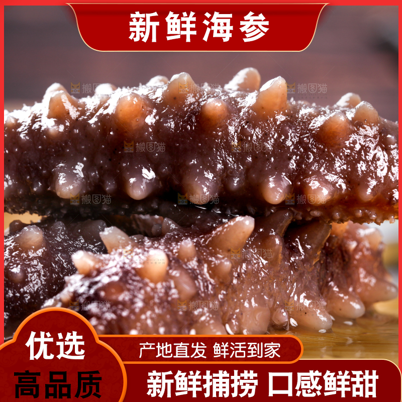 木底上的淡干海参