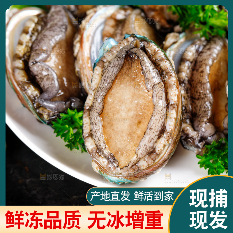 黑底上放着一盘鲍鱼