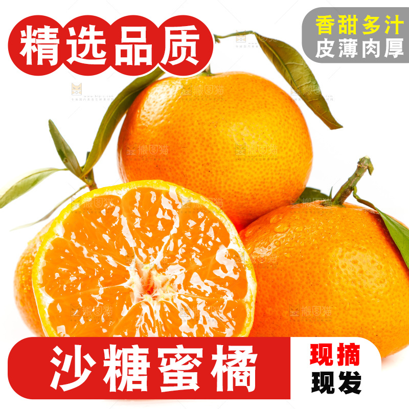 白底上摆放着蜜橘