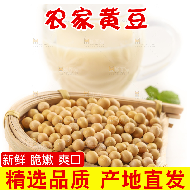 白底上放着东北黄豆