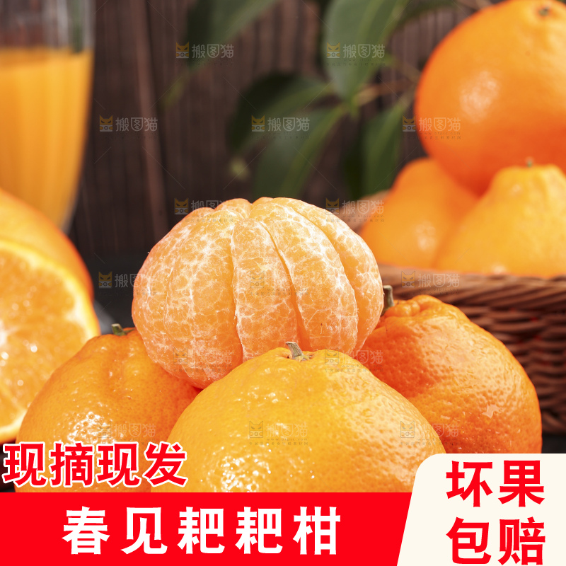黑底上放着剥皮的耙耙柑
