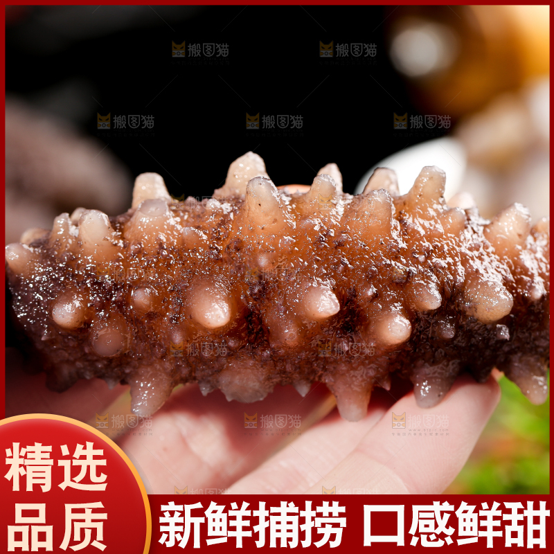手拿海参