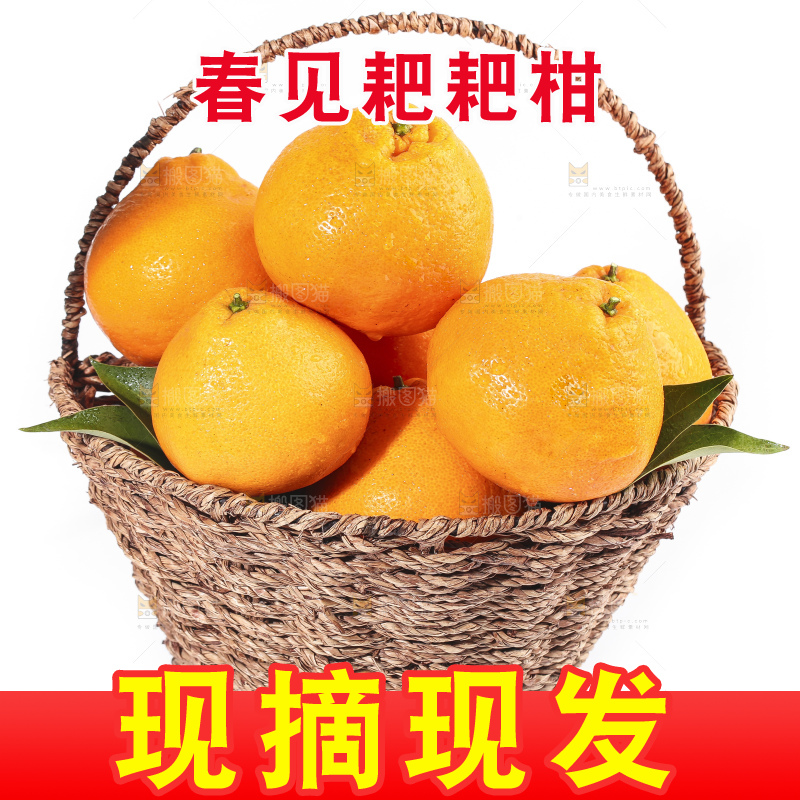 白底上放着一筐耙耙柑
