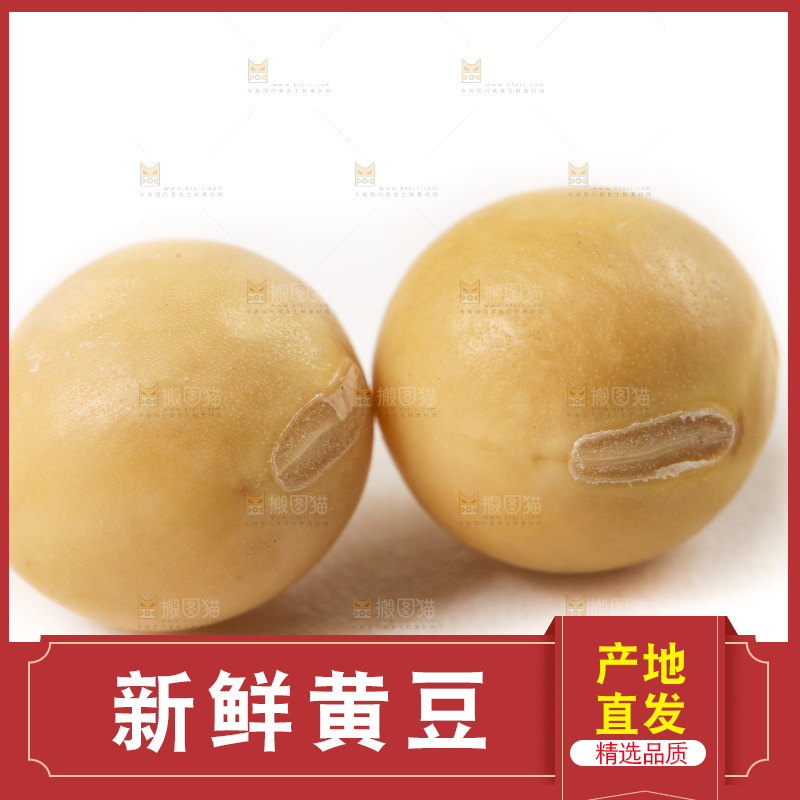 白底上的黄豆粒