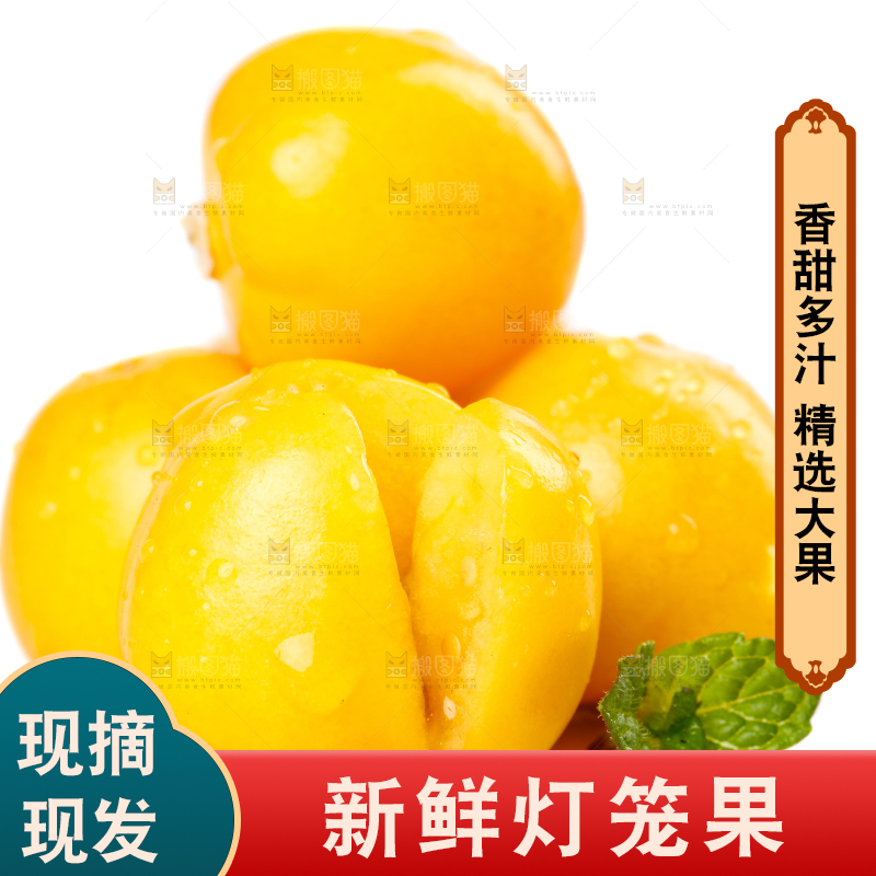 白底上摆放着姑娘果