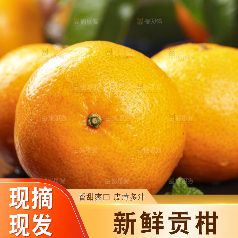 黑底上的皇帝柑