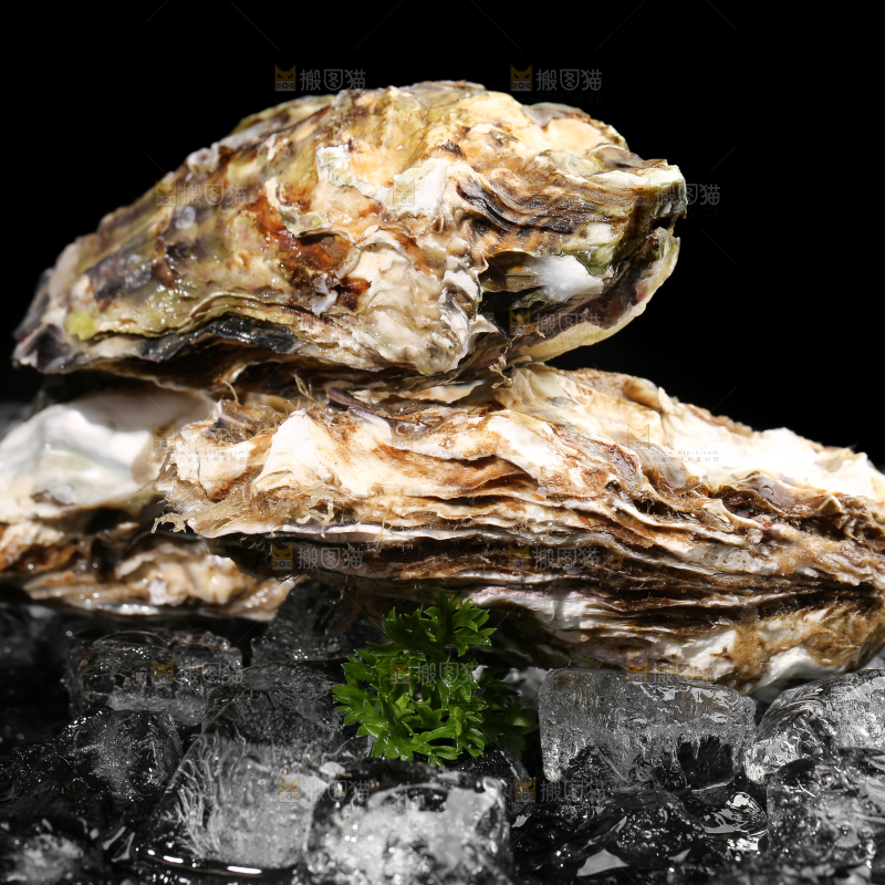 黑底上的冰镇生蚝