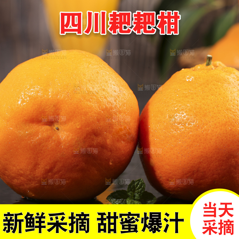 黑石板上的春见耙耙柑
