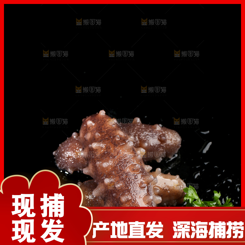 黑底上的海参