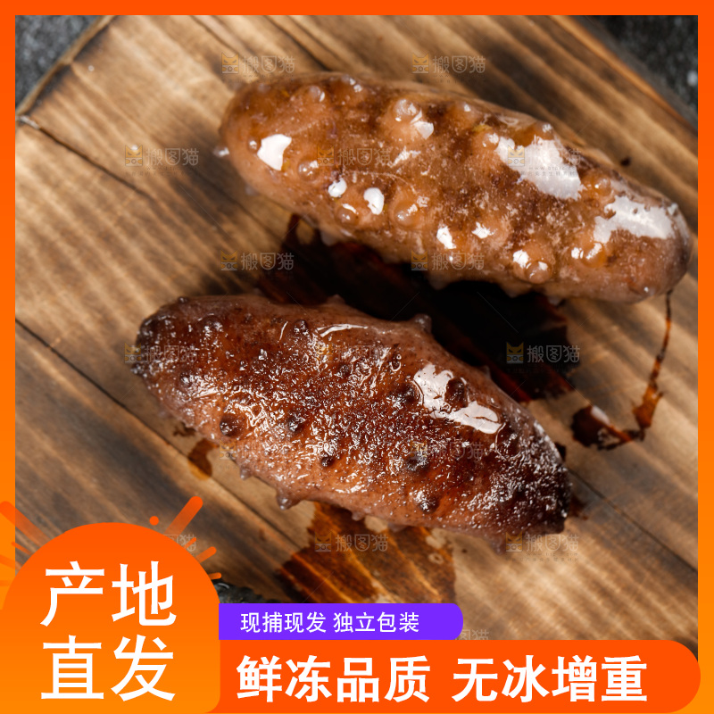 木底上的海参