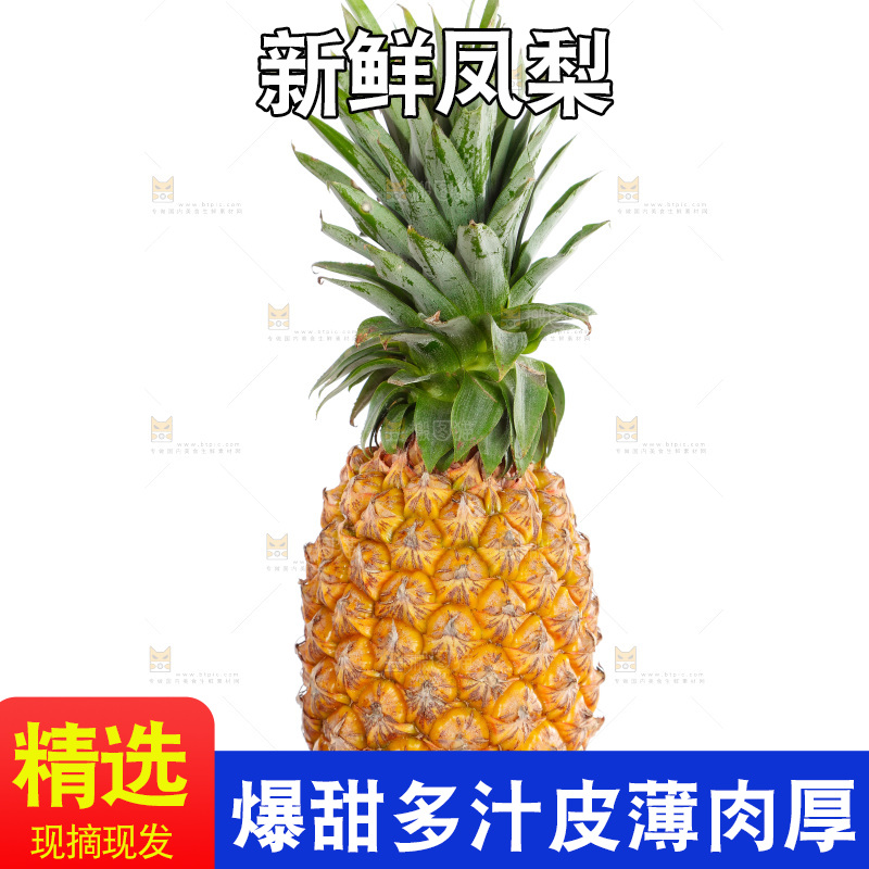 农民手里拿着凤梨