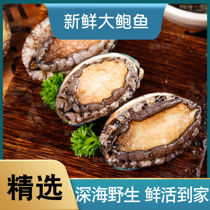 木底上的新鲜大鲍鱼