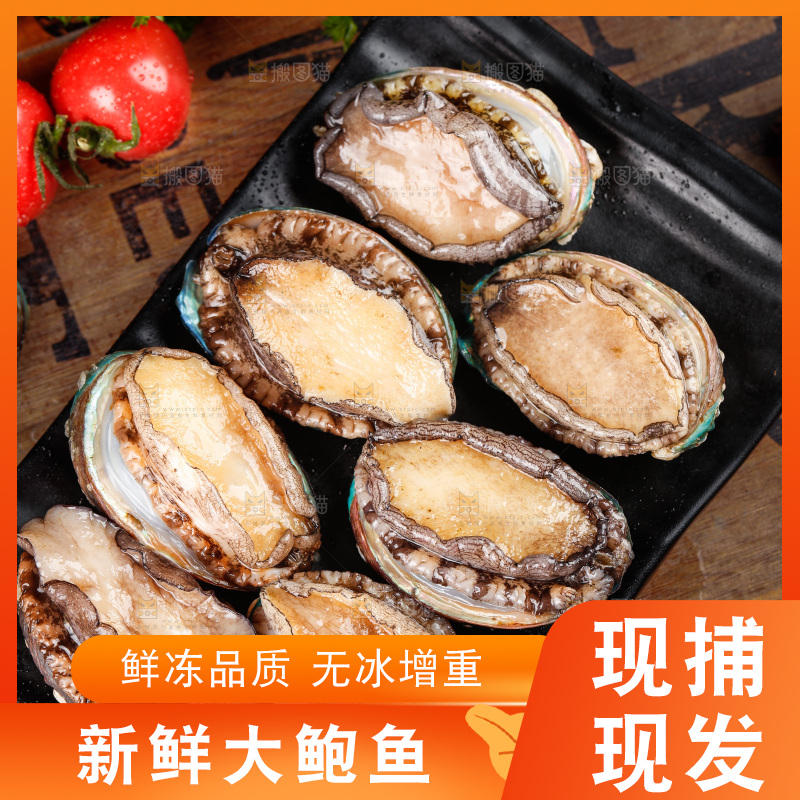 深底上放着一盘鲜鲍鱼