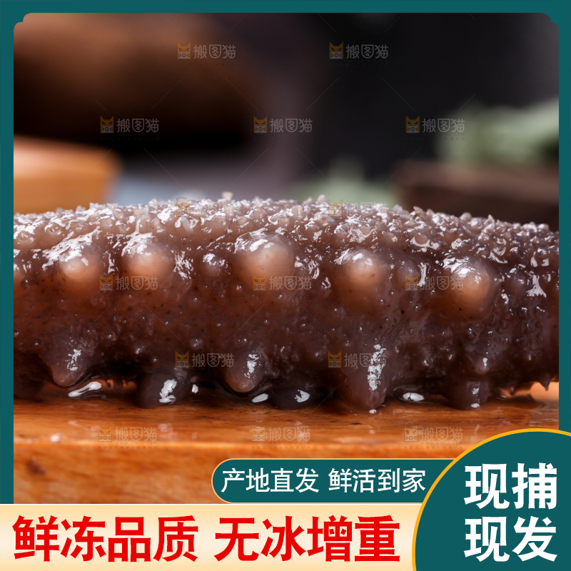 木底上的淡干海参