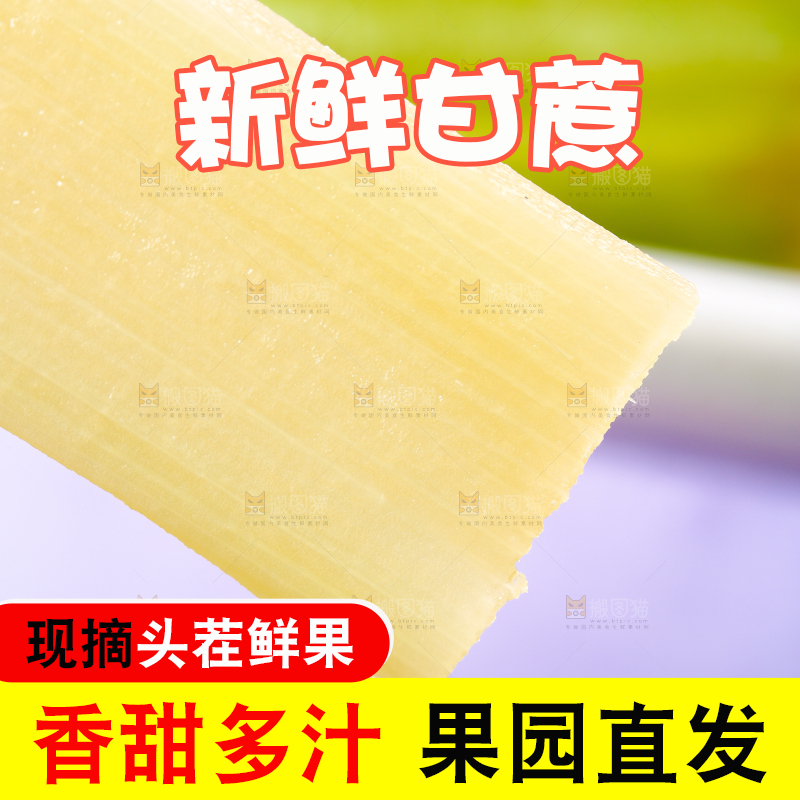 浅底上剥皮的陶山甘蔗