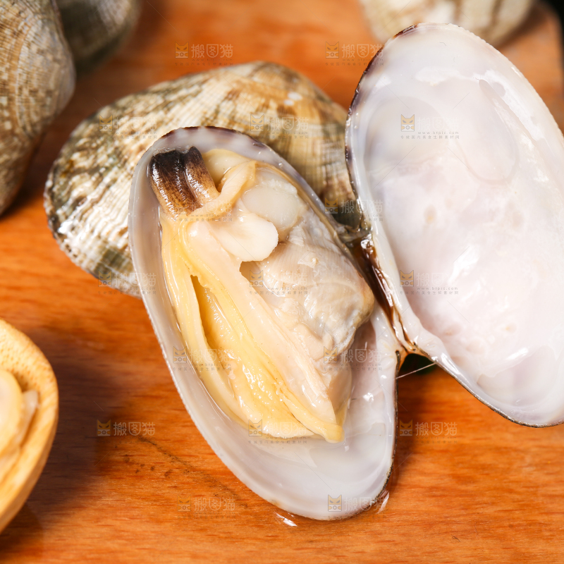 木底上张开的花甲