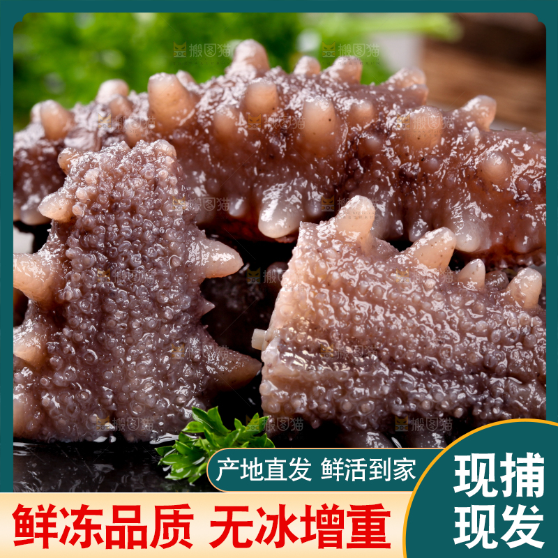 黑石板上的海参