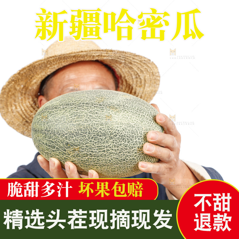 农民手里拿着哈蜜瓜
