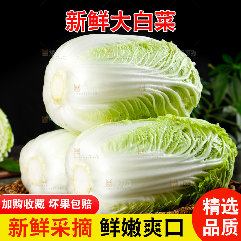 石板上放着一筐山东大白菜