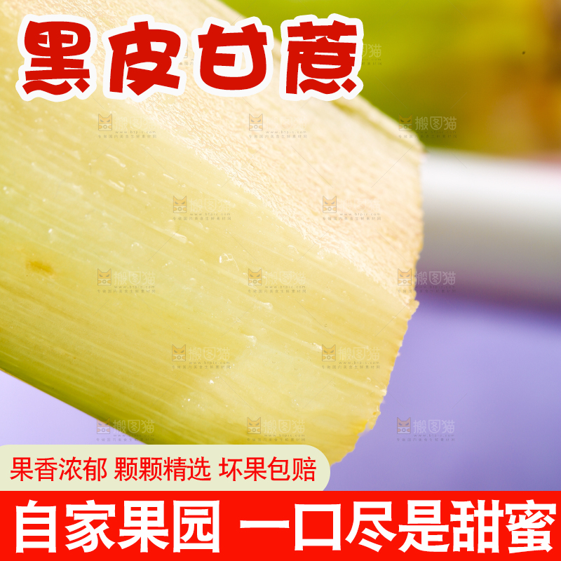 浅底上剥皮的陶山甘蔗