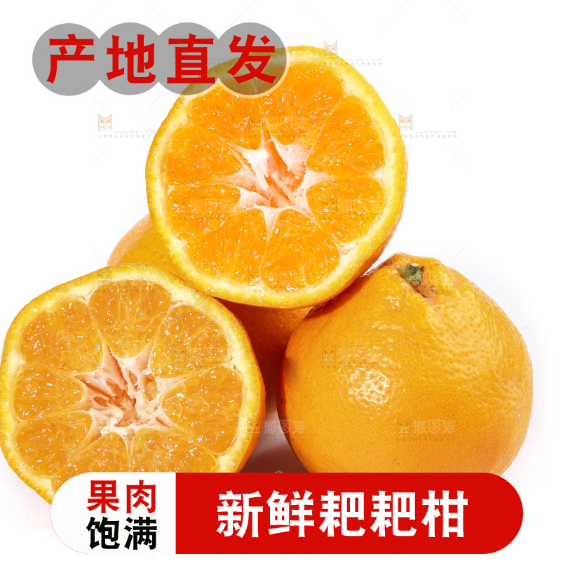 切开的四川耙耙柑放在白底上