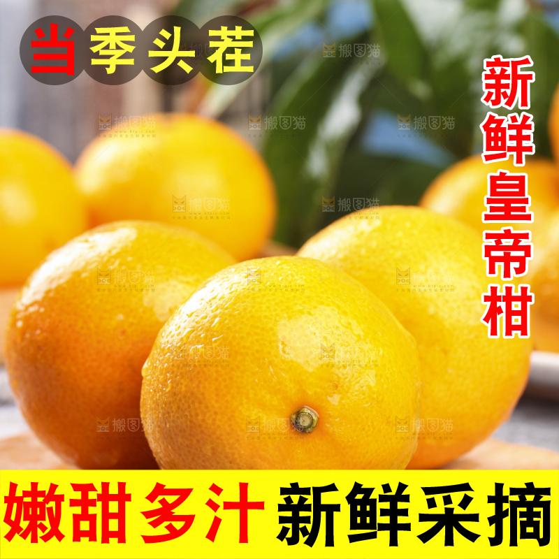 木板上的皇帝贡柑