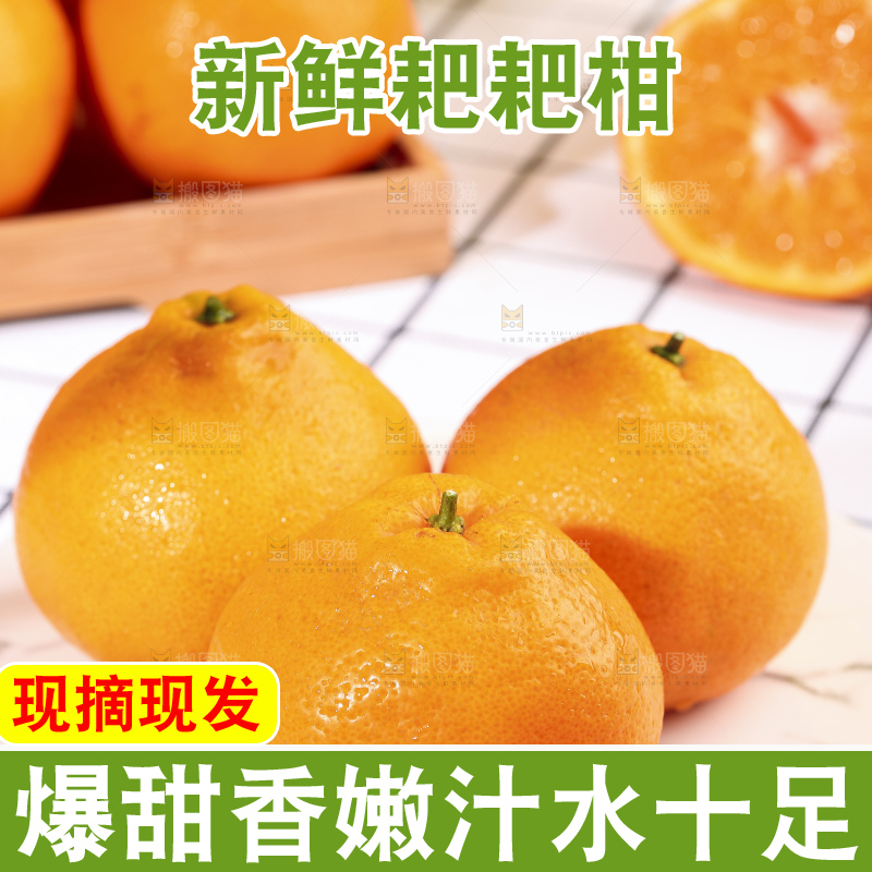 格子布上放着一盘春见耙耙柑