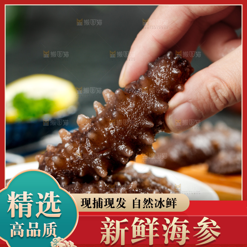 手拿刺参